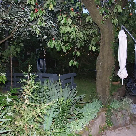 Simon Vendeghaz * Badacsonytördemic