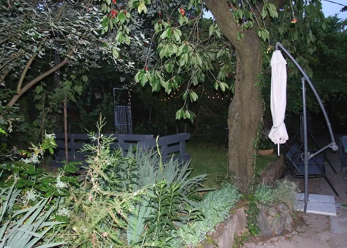 Simon Vendeghaz * Badacsonytördemic